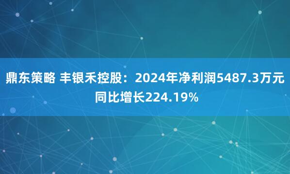 鼎东策略 丰银禾控股：2024年净利润5487.3万元 同比增长224.19%