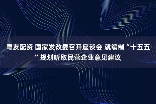 粤友配资 国家发改委召开座谈会 就编制“十五五”规划听取民营企业意见建议