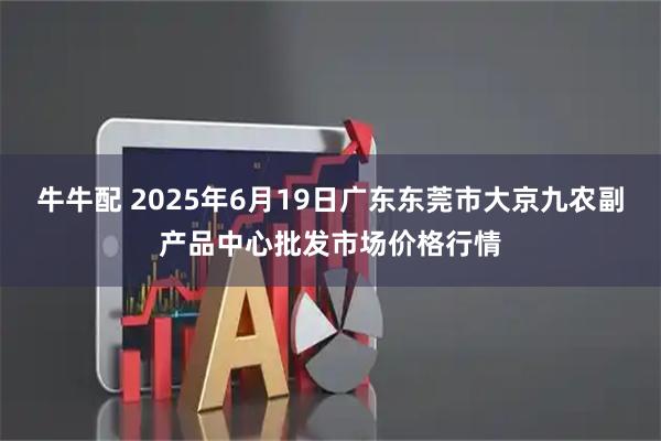 牛牛配 2025年6月19日广东东莞市大京九农副产品中心批发市场价格行情