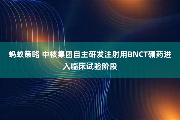 蚂蚁策略 中核集团自主研发注射用BNCT硼药进入临床试验阶段