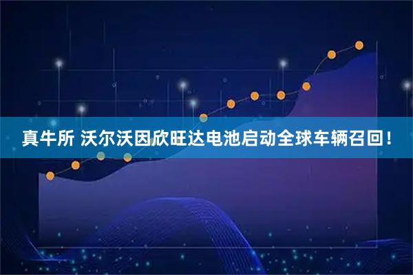 真牛所 沃尔沃因欣旺达电池启动全球车辆召回！