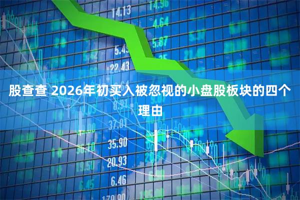 股查查 2026年初买入被忽视的小盘股板块的四个理由