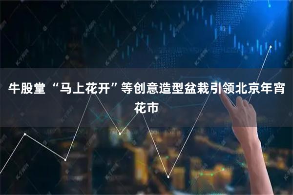 牛股堂 “马上花开”等创意造型盆栽引领北京年宵花市