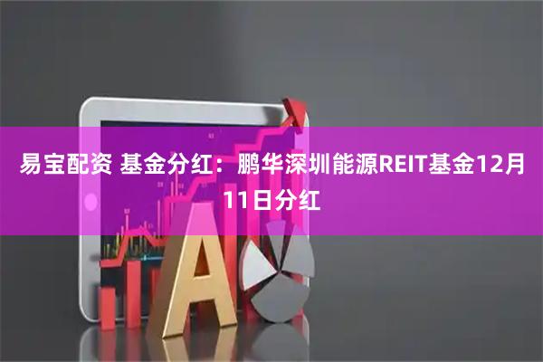 易宝配资 基金分红：鹏华深圳能源REIT基金12月11日分红