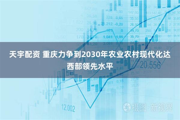 天宇配资 重庆力争到2030年农业农村现代化达西部领先水平